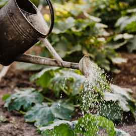 Gardening