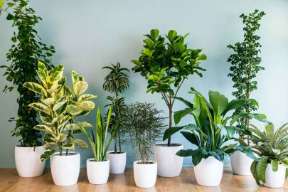 Blog1
